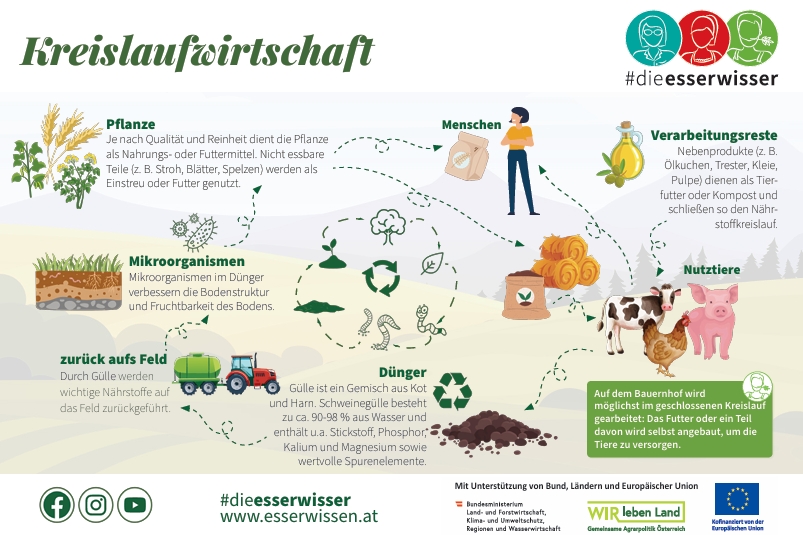 Grafik zur Kreislaufwirtschaft in der Landwirtschaft mit Abbildungen von Tieren, Traktor, Felder, Boden, Samen, Feldfrüchte, usw.