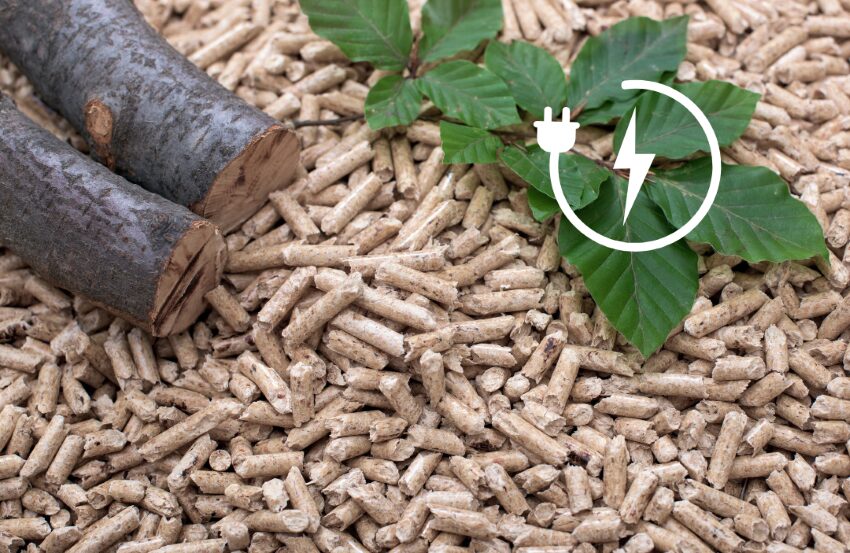 Holzpellets mit zwei dünnen Holzästen und Pflanzen, im rechten Eck befindet sich noch ein Symbol - Blitz für Energie mit einem Kabel drumherum