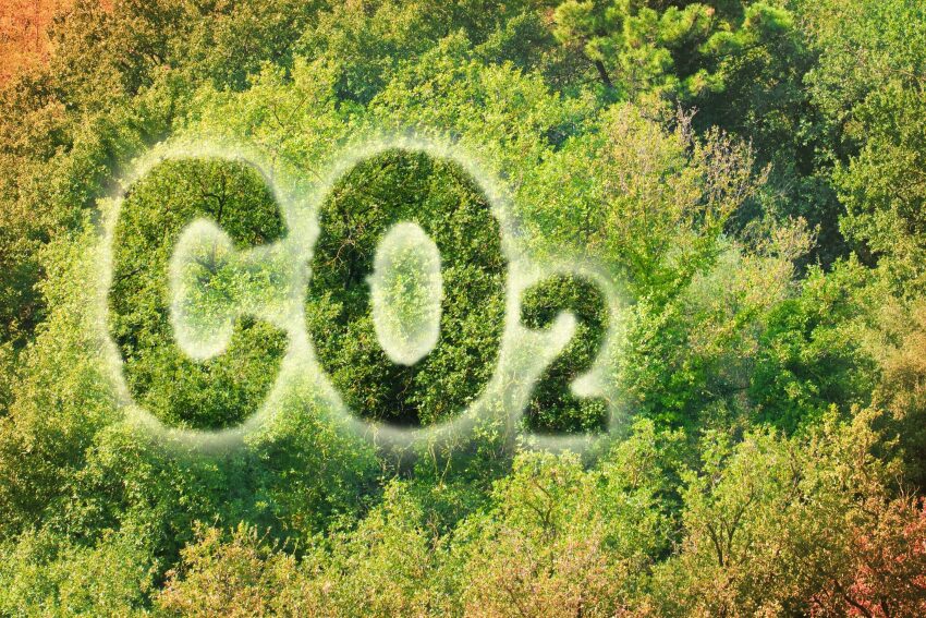 Foto eines Waldes und darüber aus Wolken der Schriftzug CO2