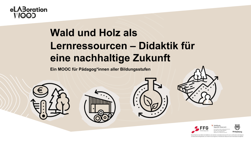 verschiedene Grafiken zum Thema Wald und Holz