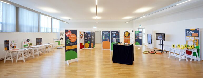 Ausstellungsfoto