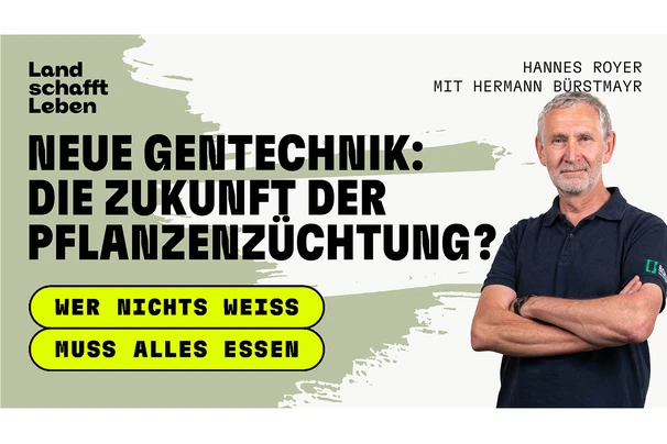 Titelbild vom Podcast 'Wer nichts weiss muss alles essen' - Neue Gentechnik: die Zukunft der Pflanzenzüchtung? | Hermann Bürstmayr