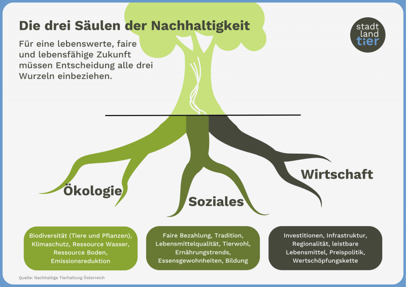 Grafik mit Baum und drei Wurzeln die, die drei Säulen darstellen - Ökologie, Soziales, Wirtschaft
