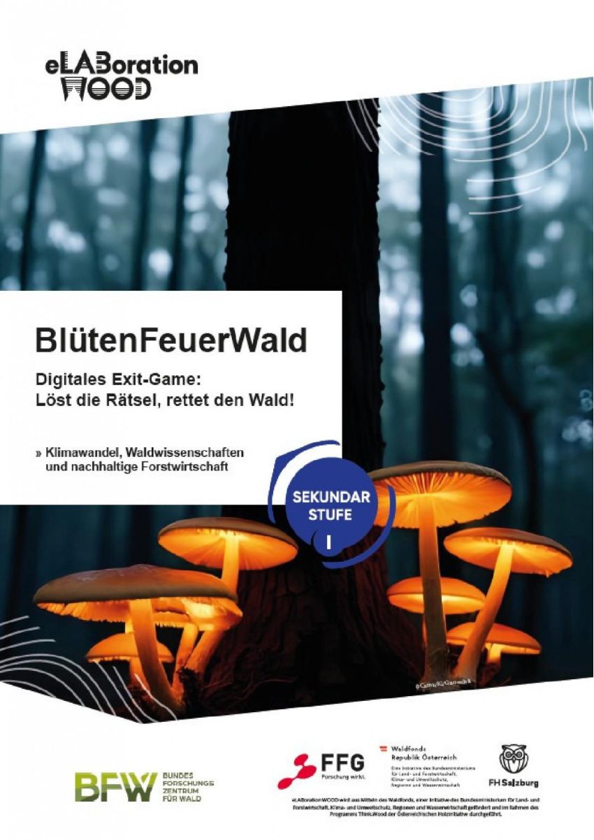Wald im Dunkeln mit fluoriszierenden Pilzen auf einem Baumstamm