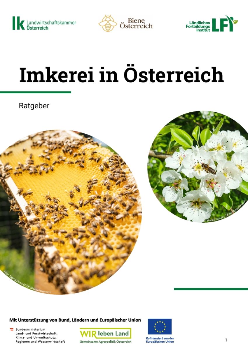 Deckblatt der Broschüre mit Blick auf Bienen die an einer Honigwabe 'arbeiten', und ein Bild mit einer Biene die eine Blume bestäubt bzw. Nektar davon holt
