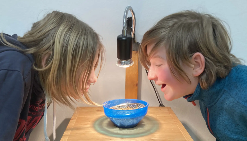 zwei Kinder die mit einem Berleseapparat Insekten beobachten bzw. bestimmen