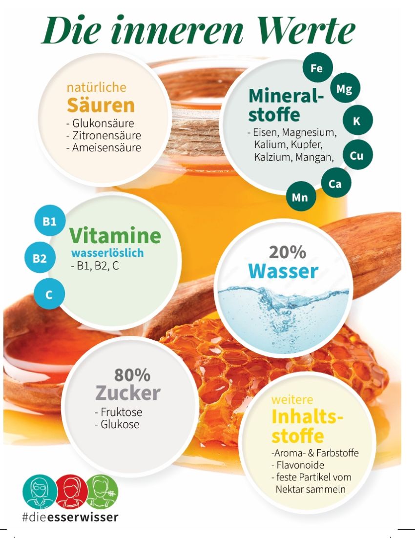 Infos rund um die Inhaltsstoffe des Honigs