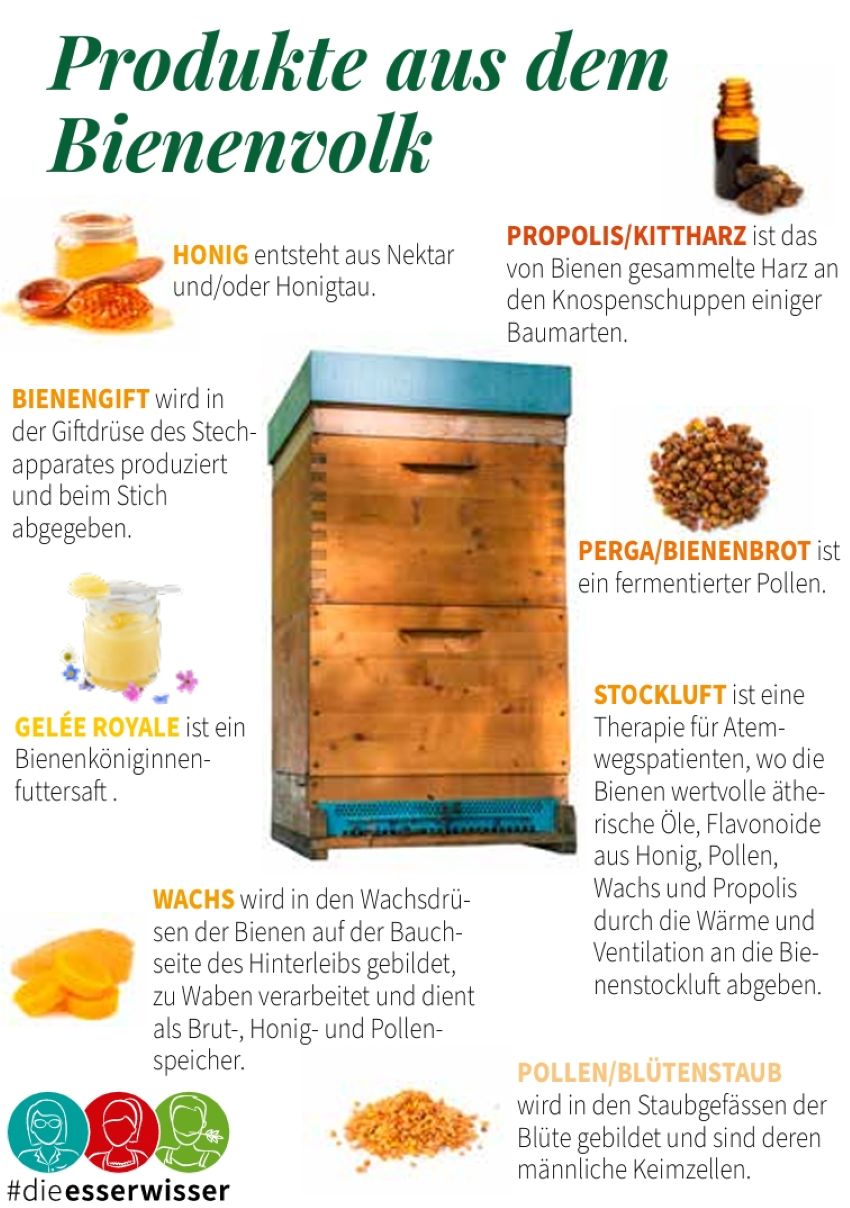 Ein Bienenstock und rundherum Bilder von Produkten aus dem Bienenvolk und die Beschreibung dazu.