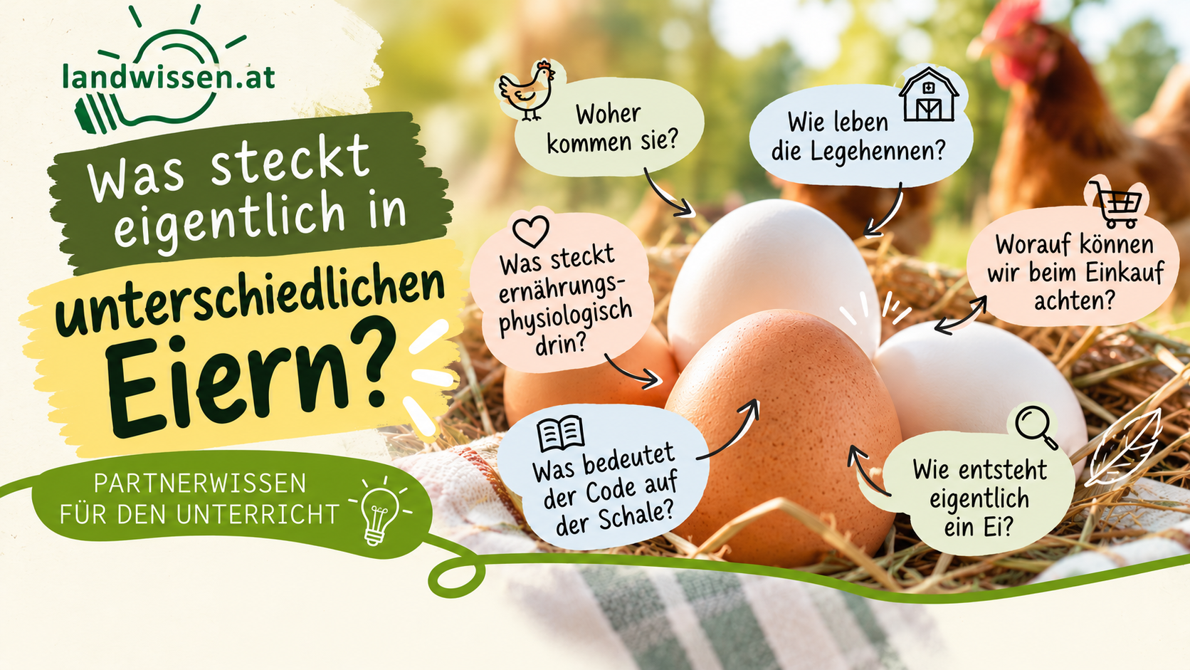 Fragestellungen was steckt im Ei