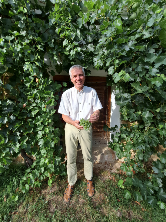 Auf dem Bild sieht man DI Dr. Ferdinand Regner im Portrait mit Weintrauben in der Hand